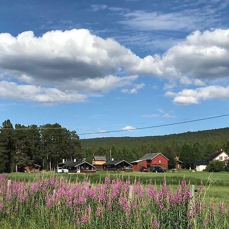 Roste Hyttetun Og Camping Os (Hedmark) Luaran gambar