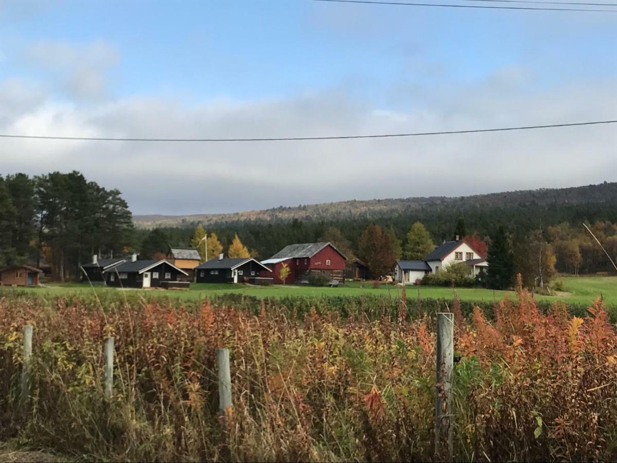 Roste Hyttetun Og Camping Os (Hedmark) Luaran gambar
