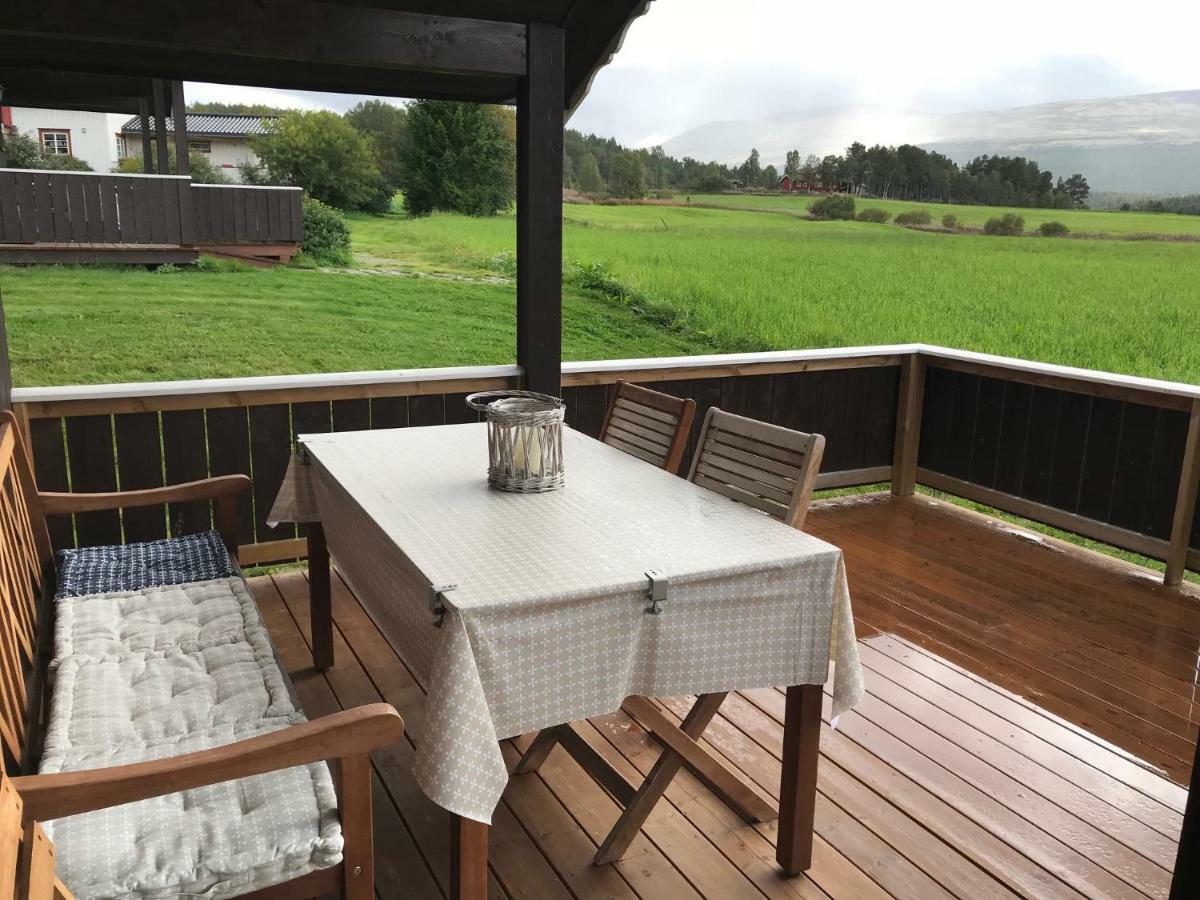 Roste Hyttetun Og Camping Os (Hedmark) Luaran gambar
