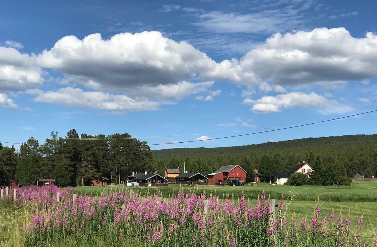 Roste Hyttetun Og Camping Os (Hedmark) Luaran gambar